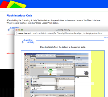 This lesson asks students to correctly label the Flash interface.